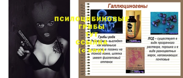 дурь Гусиноозёрск