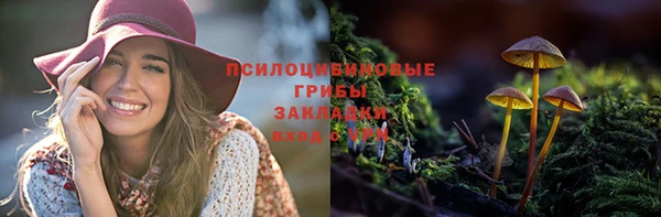 мдма Гусев