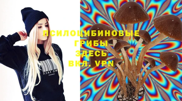 мдма Гусев