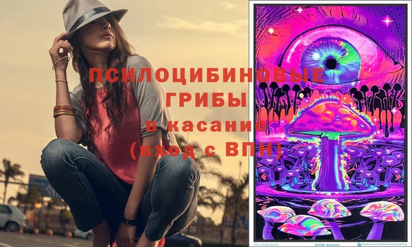 мдма Гусев