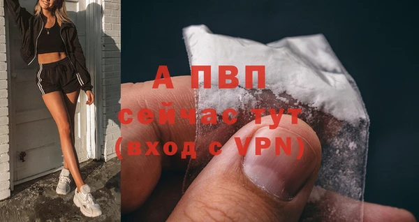 дурь Гусиноозёрск