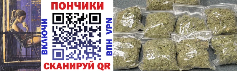 Конопля конопля  продажа наркотиков  Югорск 